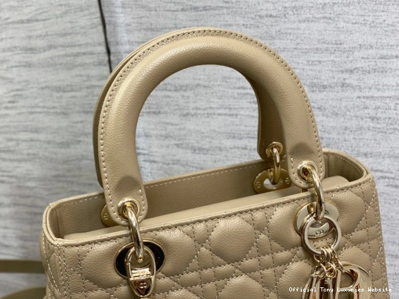 Tony Luxuries Gold Lady Calfskin-24cm diro large 0803